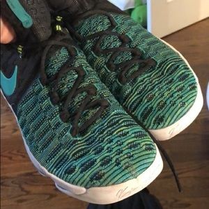 KD9 Birds of Paradise